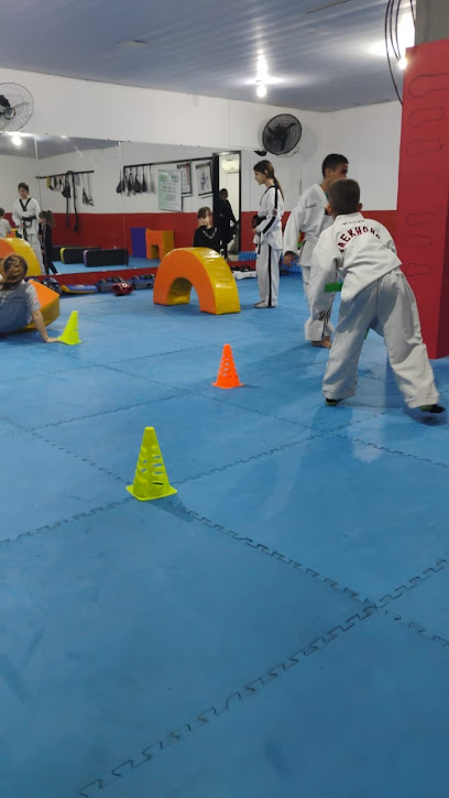 Centro de Treinamento Alves Valindolfo de Taekwondo