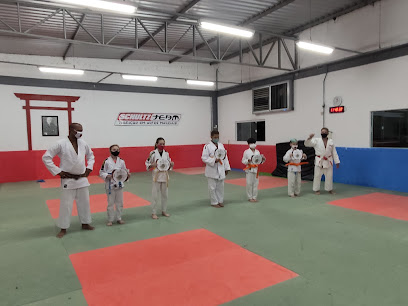 Academia Schultz Team