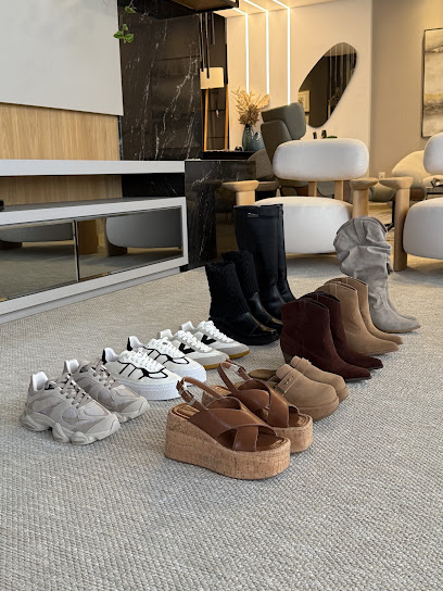 The Little Shoes