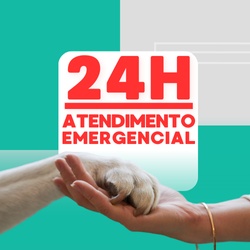 Centro Clínico Veterinário SalvaVet 24h