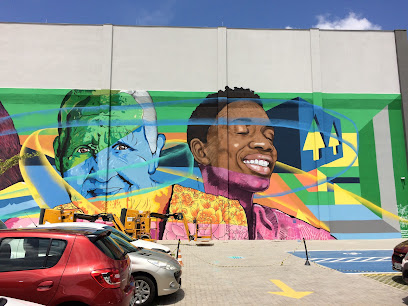 Quiko Nuts - Artista Visual